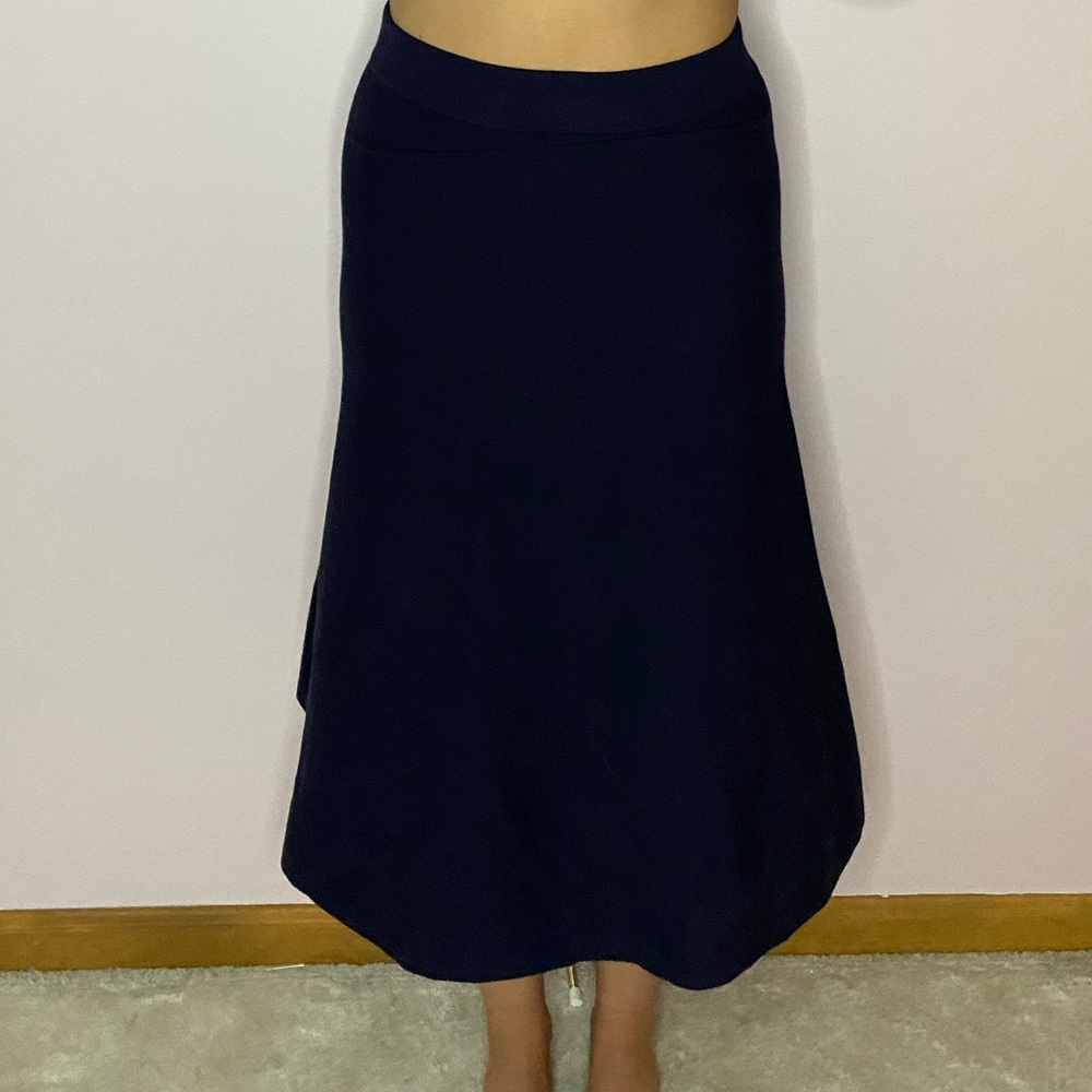 Ann Taylor skirt